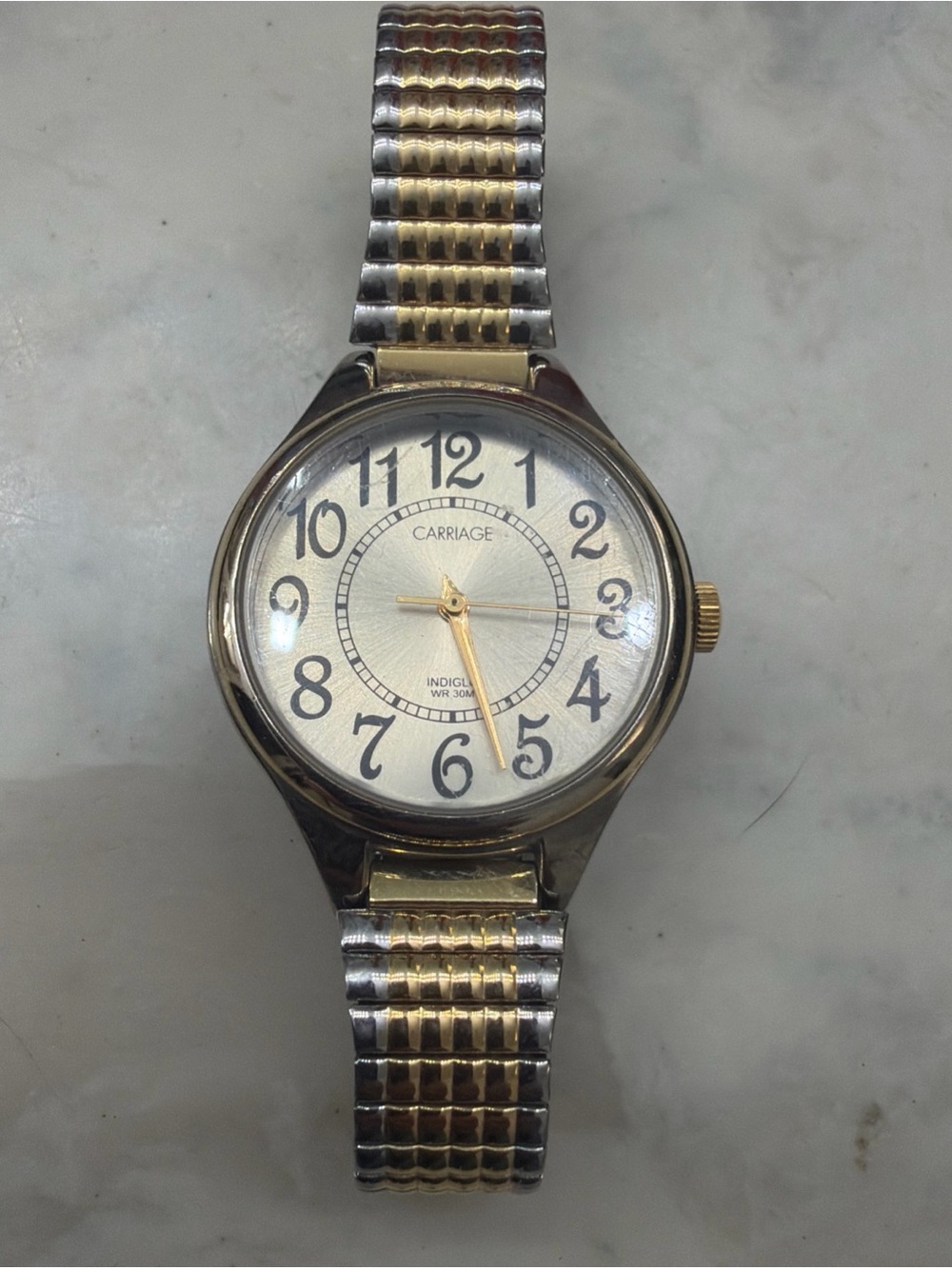 The Vintage Carriage by Timex Watch